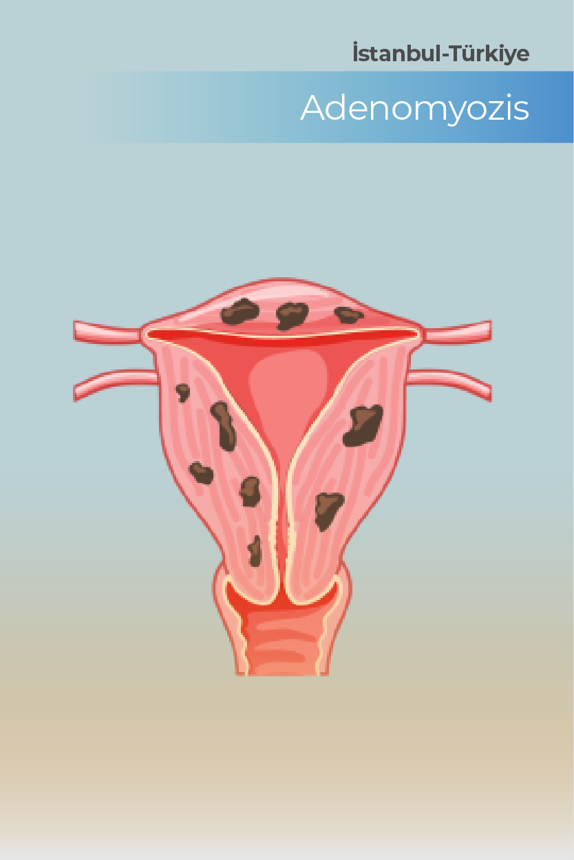 Doğum paketi fiyatları Kadınlar Kulübü